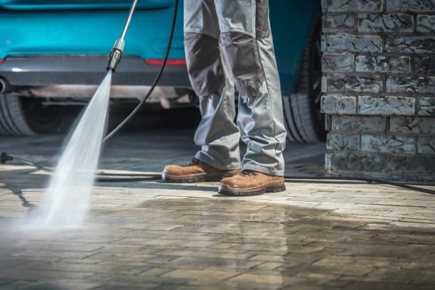 Best Spring Cleaning  in Littlerock, CA